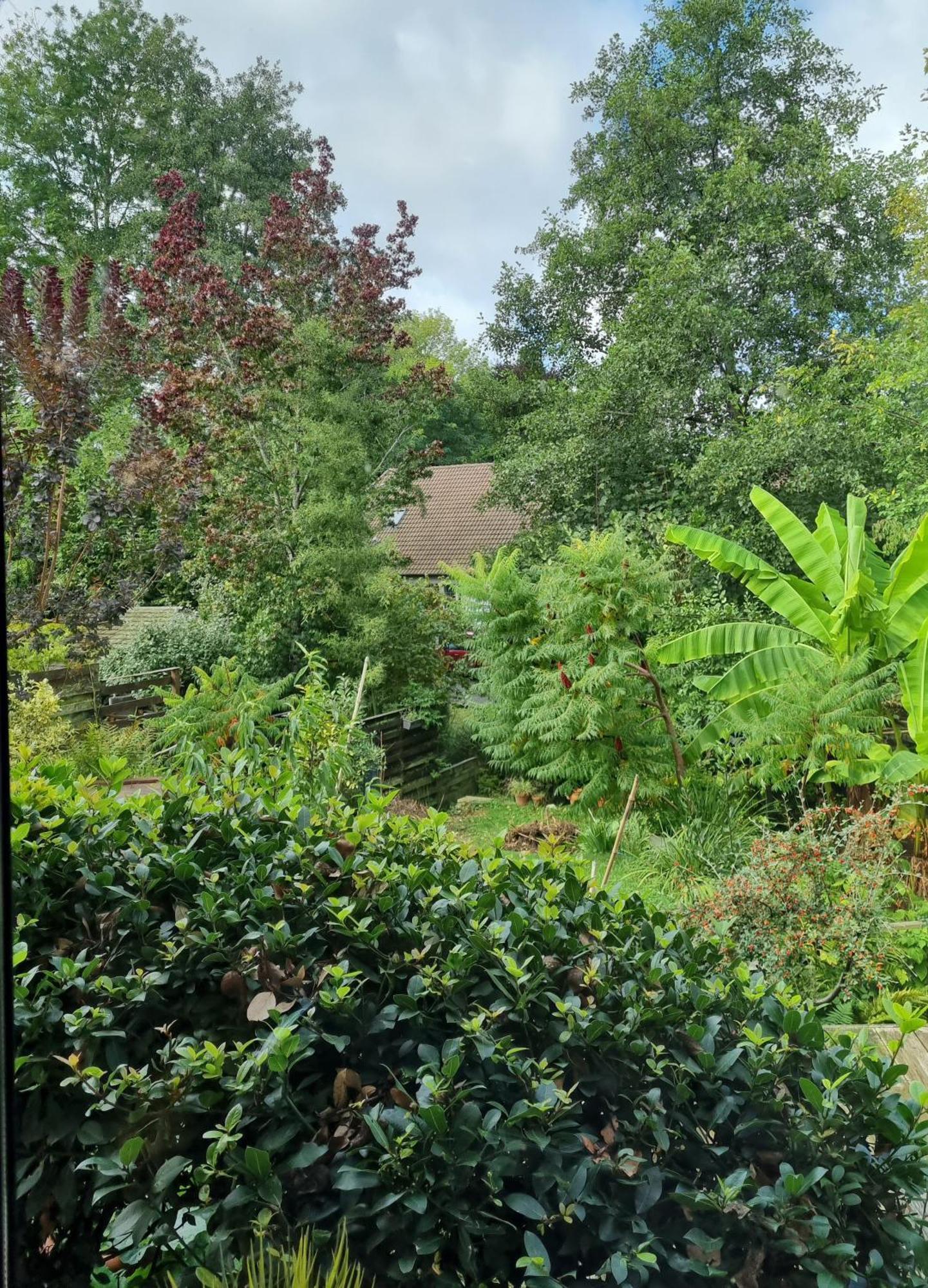 Belle Maison D'Art Verdoyante & Jardin Saint-Rémy-lès-Chevreuse Eksteriør billede
