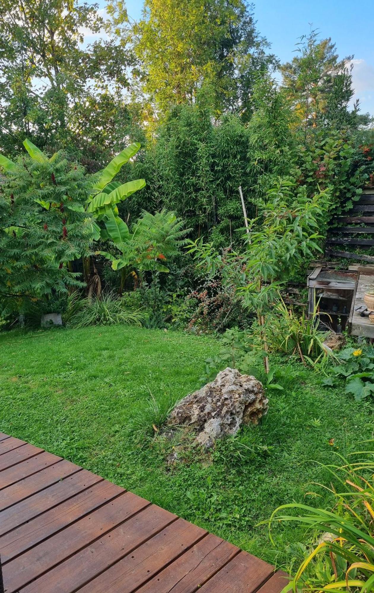 Belle Maison D'Art Verdoyante & Jardin Saint-Rémy-lès-Chevreuse Eksteriør billede