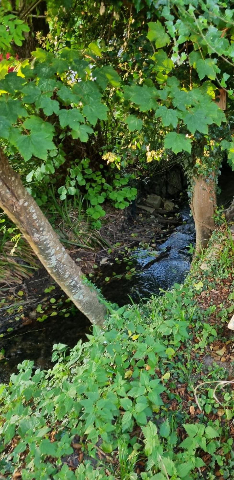Belle Maison D'Art Verdoyante & Jardin Saint-Rémy-lès-Chevreuse Eksteriør billede